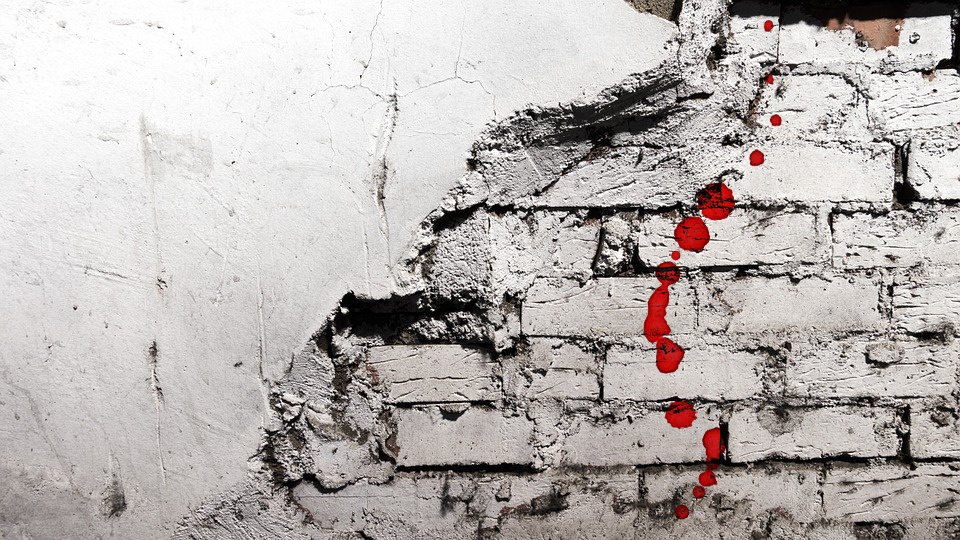 Writing Contest Finalists—Another Brick in the Wall by Casey Millette